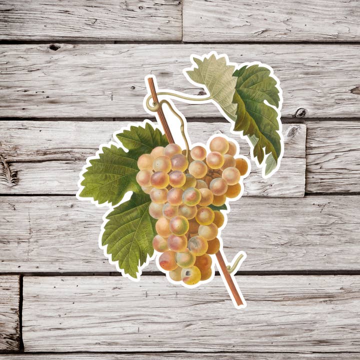 NatureCuts - Wholesale Sticker - Grape Sticker, Berry Sticker, Fruit Sticker
