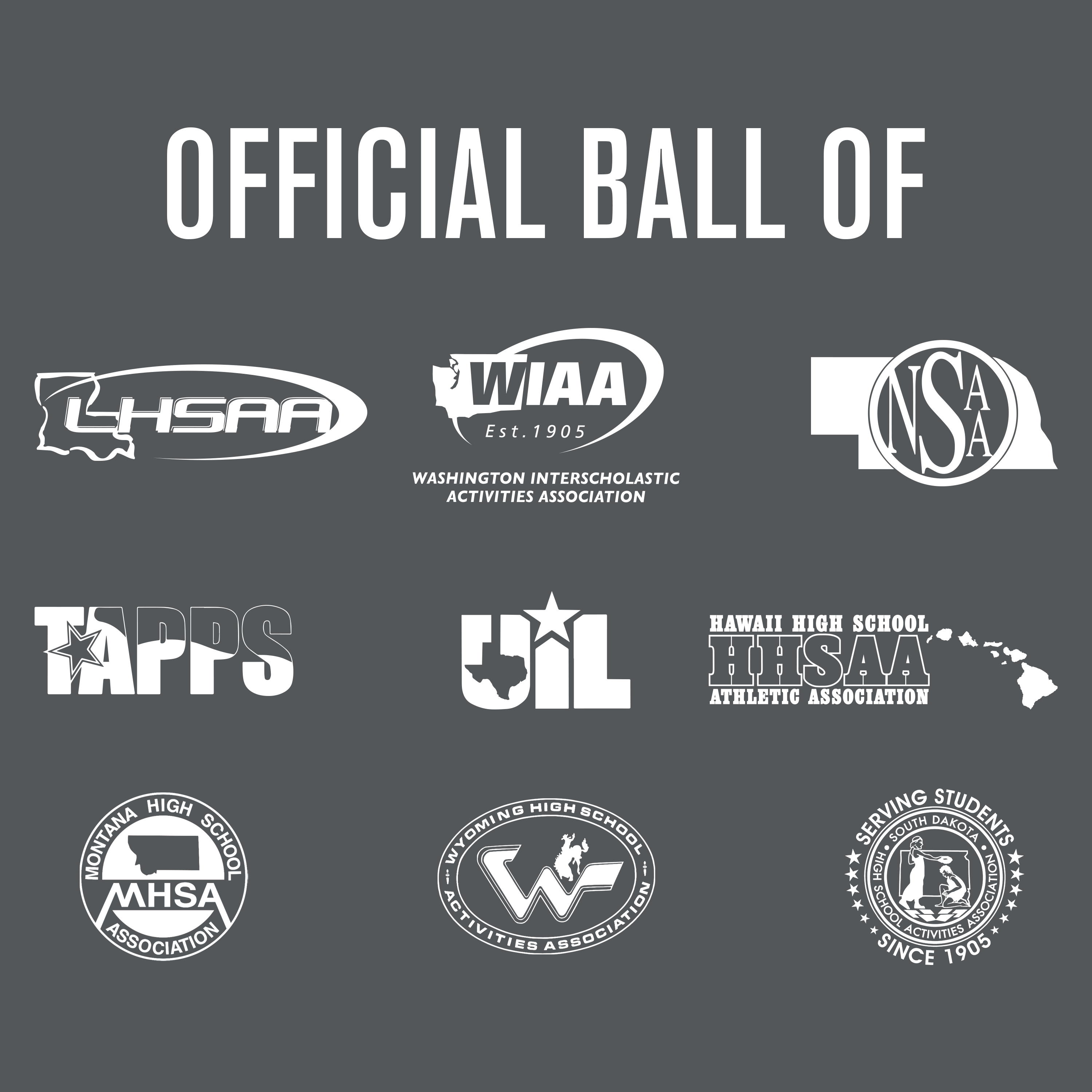 Baden Sports - Wholesale Sports Ball - Elite Pro Official Game Basketball NFHS Stamped1
