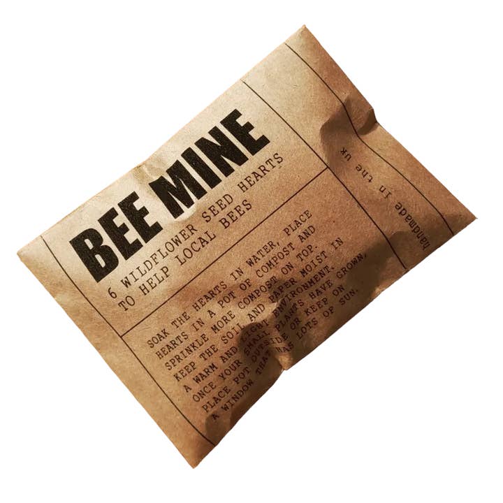 DSB Gifts – wholesale Party gift – Wildflower seed origami heart 'bee mine' envelope7