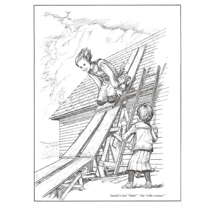 Bellerophon Books - Wholesale Coloring & Activity Book - Adult - Amelia Earhart1