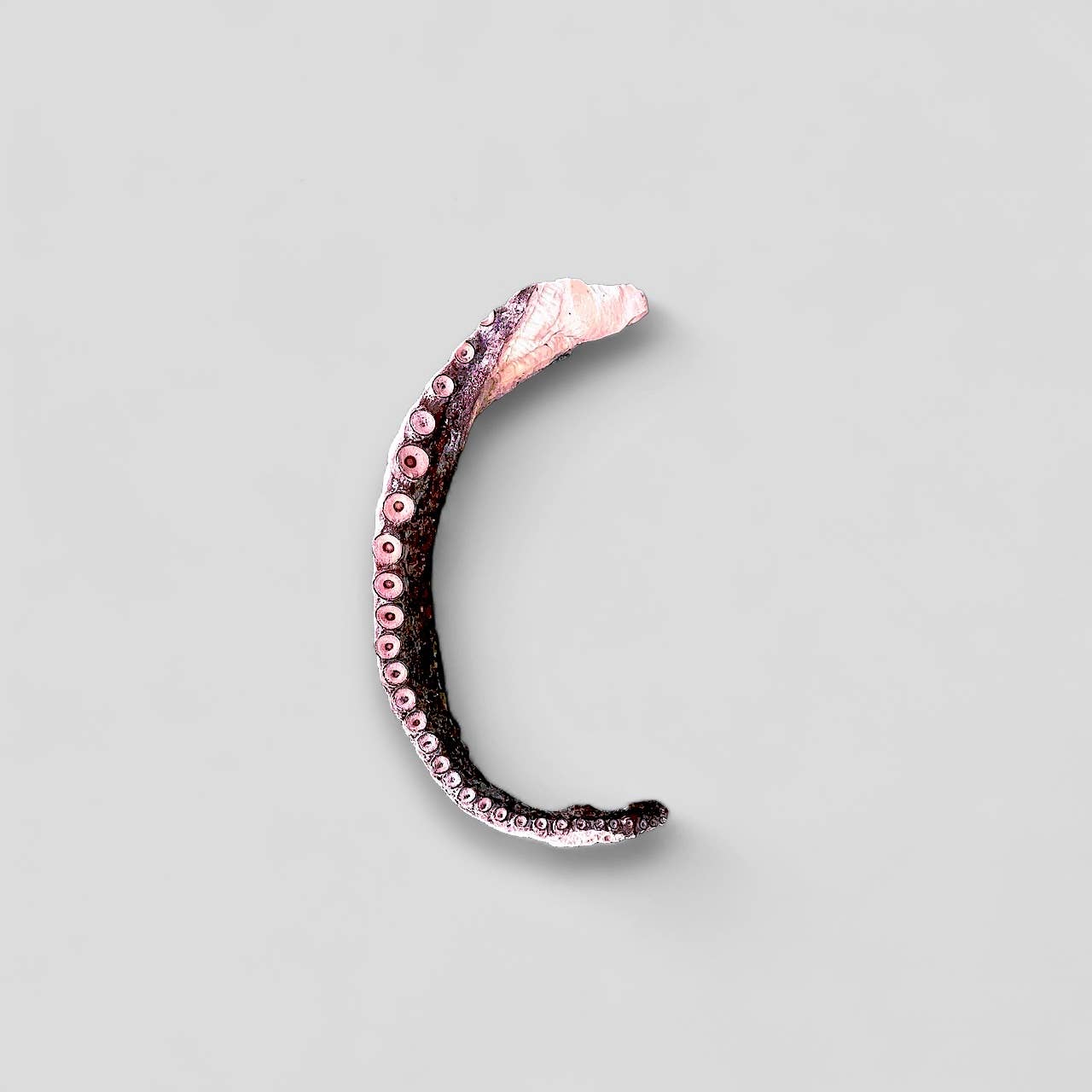 Mosaic Pet Food – Großhandel Leckerlis – Hund – Mosaic® Wild-Caught Oktopus-Tentakelhälften, 2 lb *Bulk