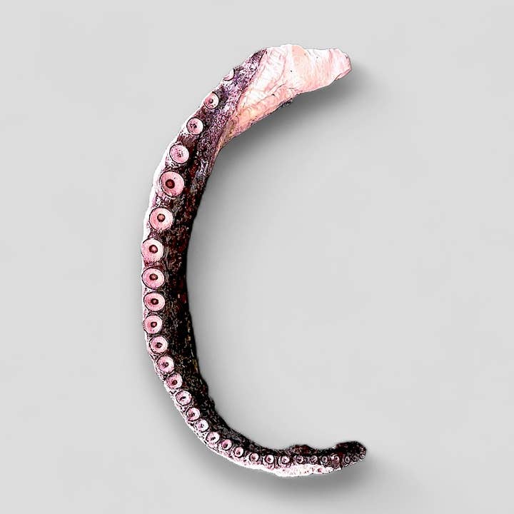 Mosaic Pet Food – Großhandel Leckerlis – Hund – Mosaic® Wild-Caught Oktopus-Tentakelhälften, 2 lb *Bulk0