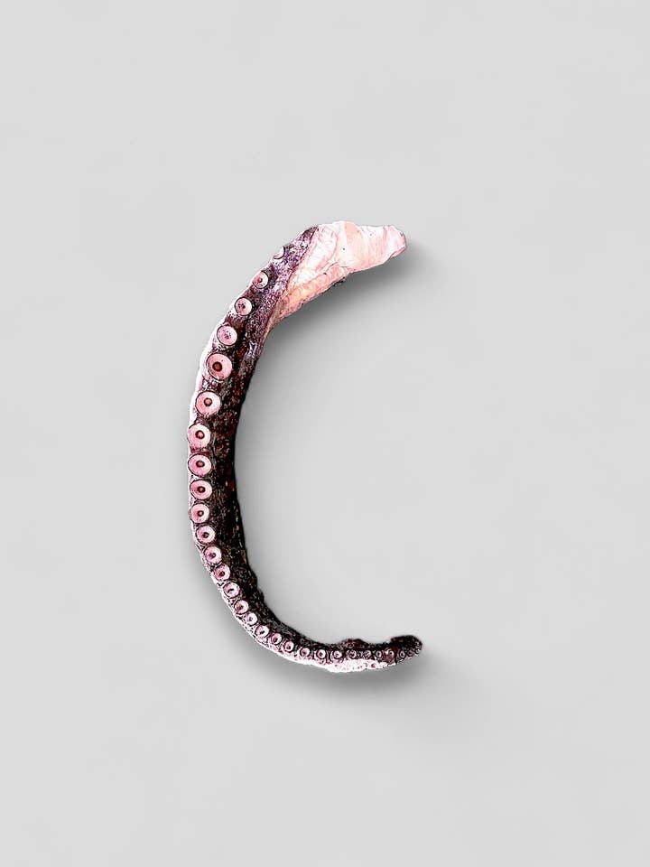 Mosaic® Wild-Caught Oktopus-Tentakelhälften, 2 lb *Bulk für den Großhandel von Mosaic Pet Food