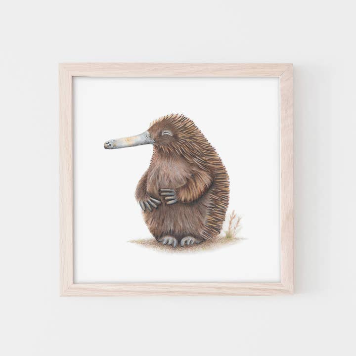 Fine Art Print: Echidna Rubbing His Tummy for wholesale by Popcorn Blue
