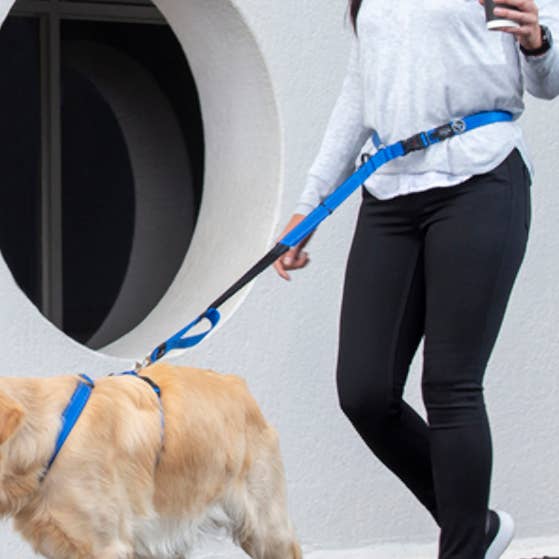 Utility Handsfree Lead X-Large for wholesale by Rogz USA