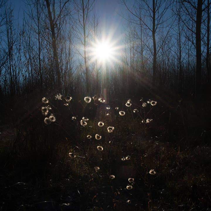 Fotografía sobre papel para venta al por mayor de Nuriart