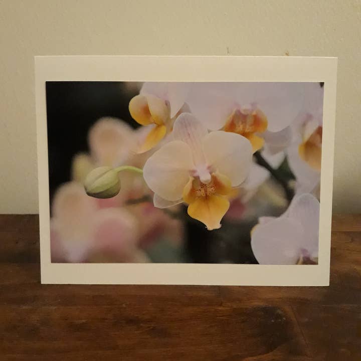 Biglietto d'auguri foto Lilac Orchid per la vendita all'ingrosso da parte di Dawna Anders Photography