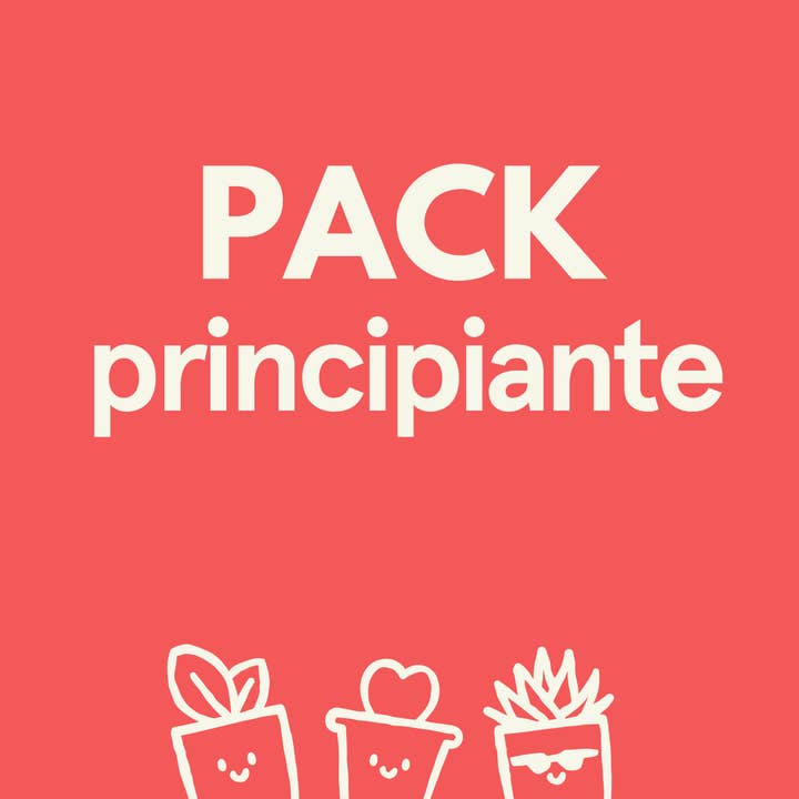 ANFÄNGERPAKET für den Großhandel von Miniplanta