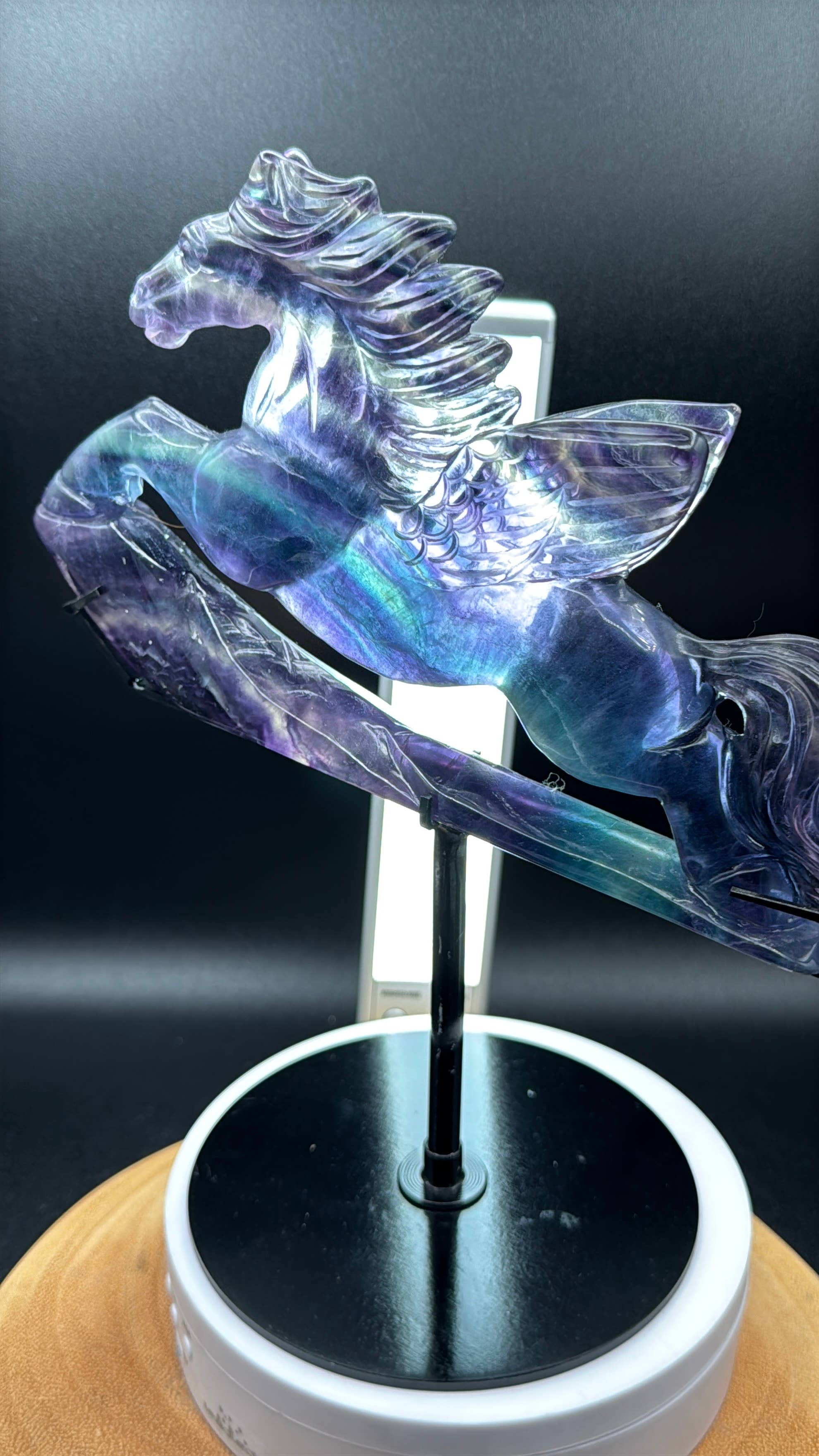 The 7 Directions - Wholesale Spiritual Stone/Crystal - Exquisite Rainbow fluorite Flying horse Pegasus H2085