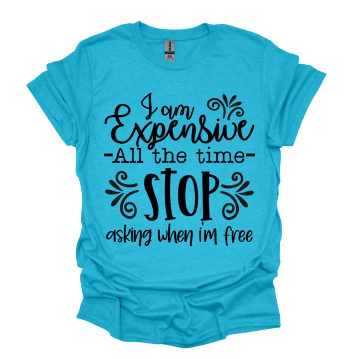 Jag är dyr hela tiden sluta fråga rolig t-shirt för wholesale av Simply Spoken Apparel
