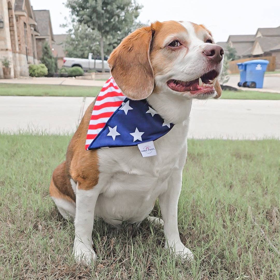 Three Paws – wholesale Pet bandana – Dog – American Flag Water Lovin Bandana5