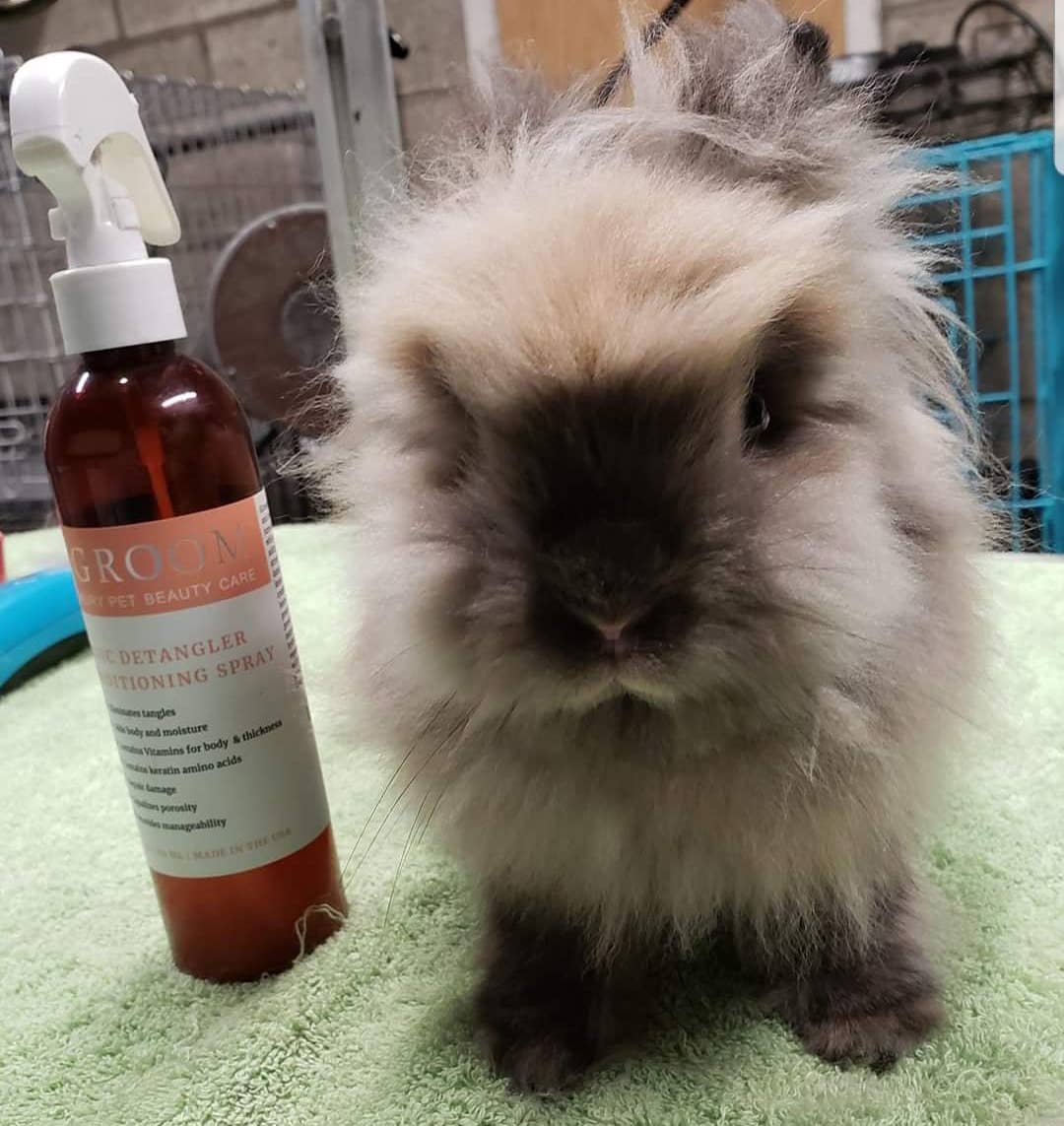 iGroom - Wholesale Pet Spray - Dog - Magic Detangler Conditioning Spray 8oz4