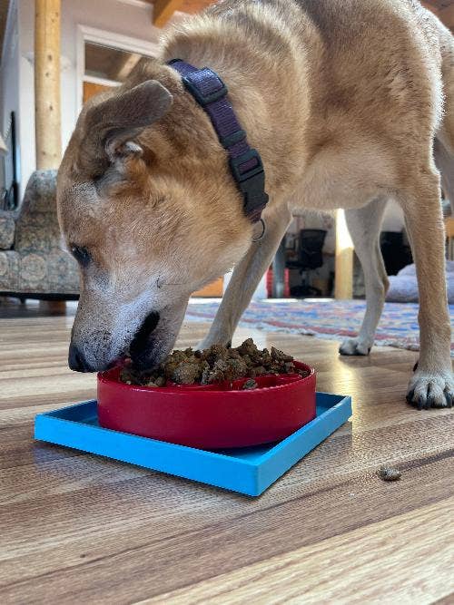 Light Blue Hold 'em Suction Cup Holder for eBowls, eTrays, and eMats for wholesale on Faire14