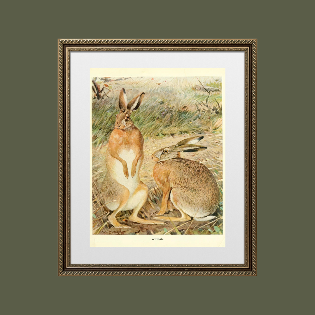 Sea to Skye - Wholesale Art Print - Two Hares in a Field Art Print4
