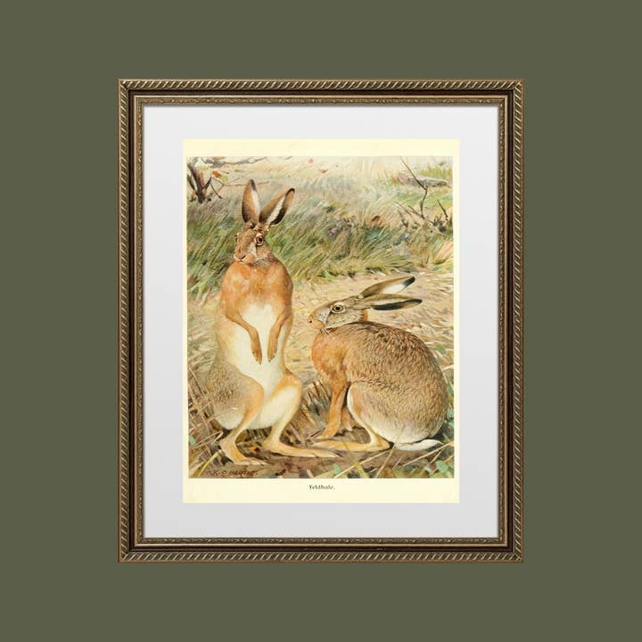 Sea to Skye - Wholesale Art Print - Two Hares in a Field Art Print4