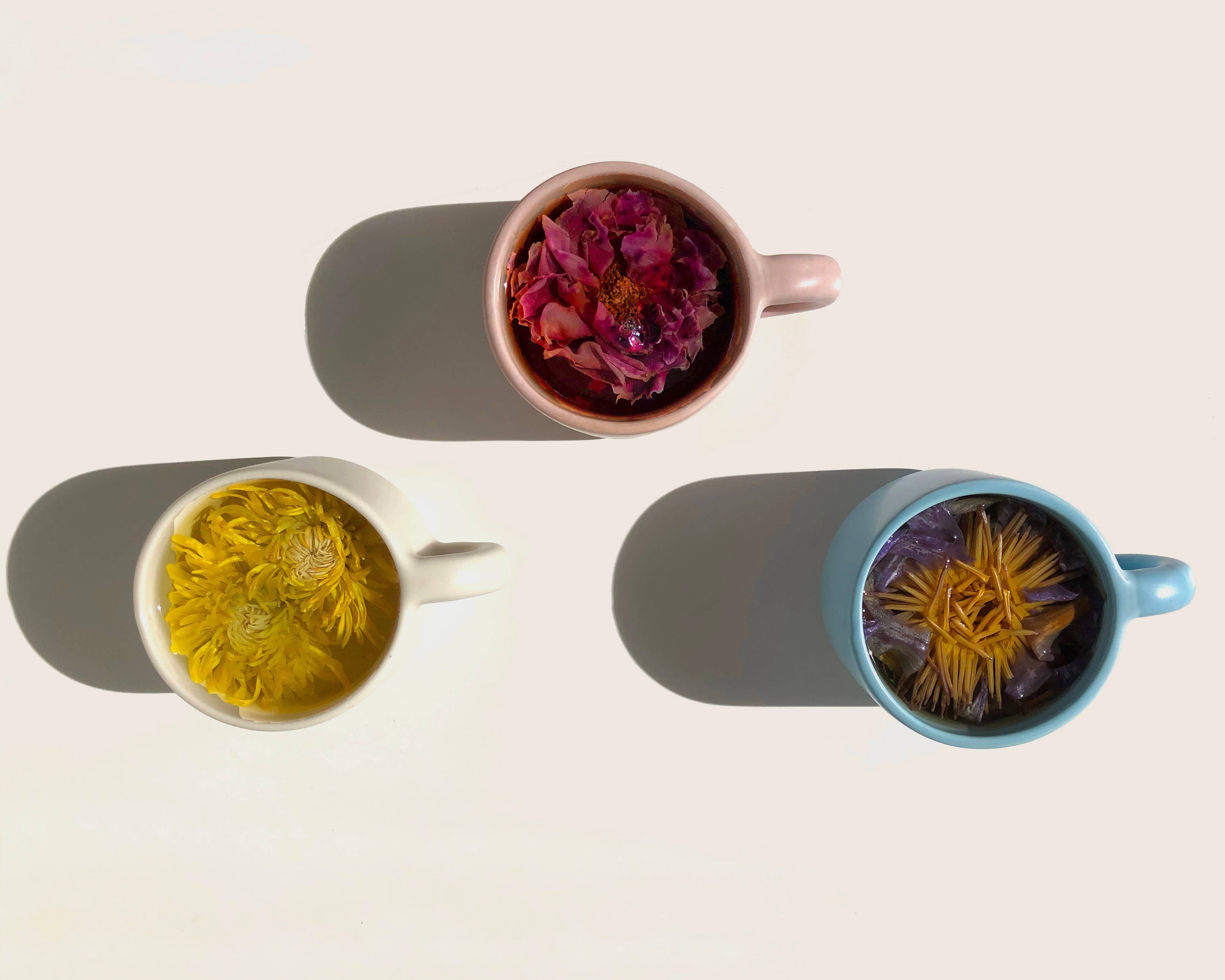 The Qi - Wholesale Retailer Sample - Food & Drink - NEW Floral Tea Tasting Sampler4