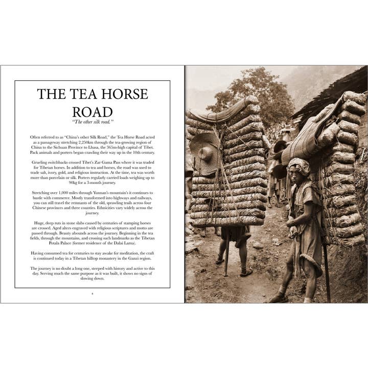 Honest Magazine - Wholesale Cookbooks & Food - The Tea Issue1