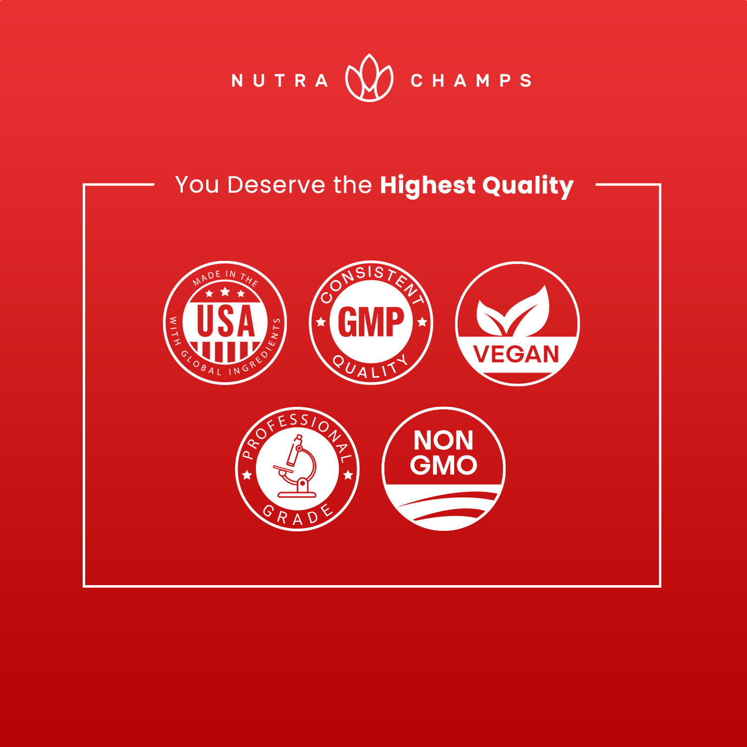 NutraChamps - Wholesale Oral Supplement/Vitamin - B Complex Liquid - Nervous System Support 8