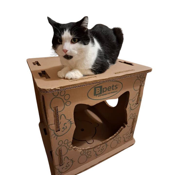 Cat House – Fun Box for Play & Rest, Corrugated Cardboard for wholesale by Designer Pet Products, LLC