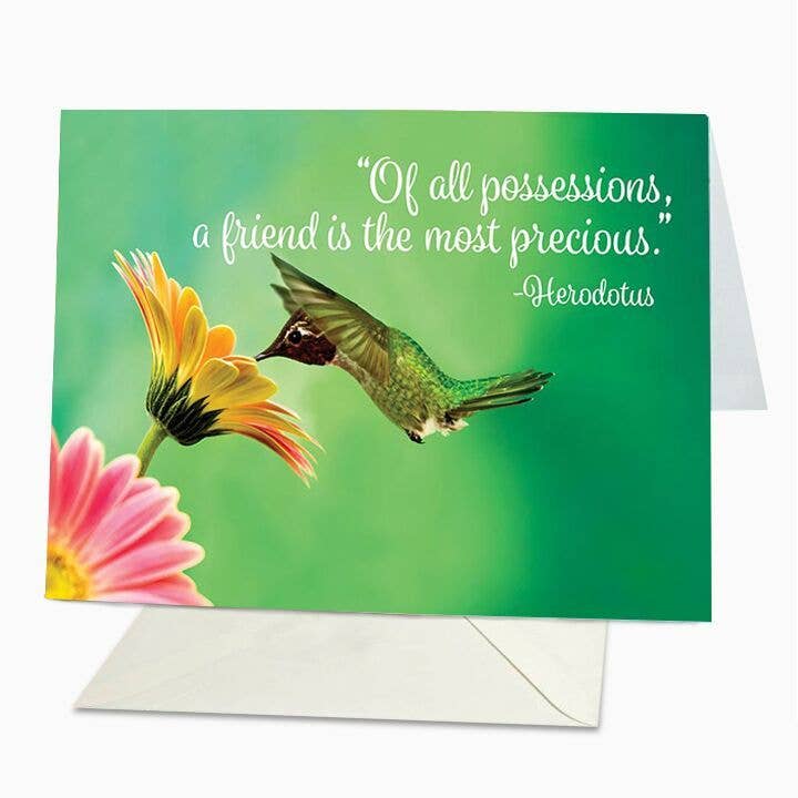 Jeg værdsætter dit venskab for engroshandel hos St Thomas Greetings