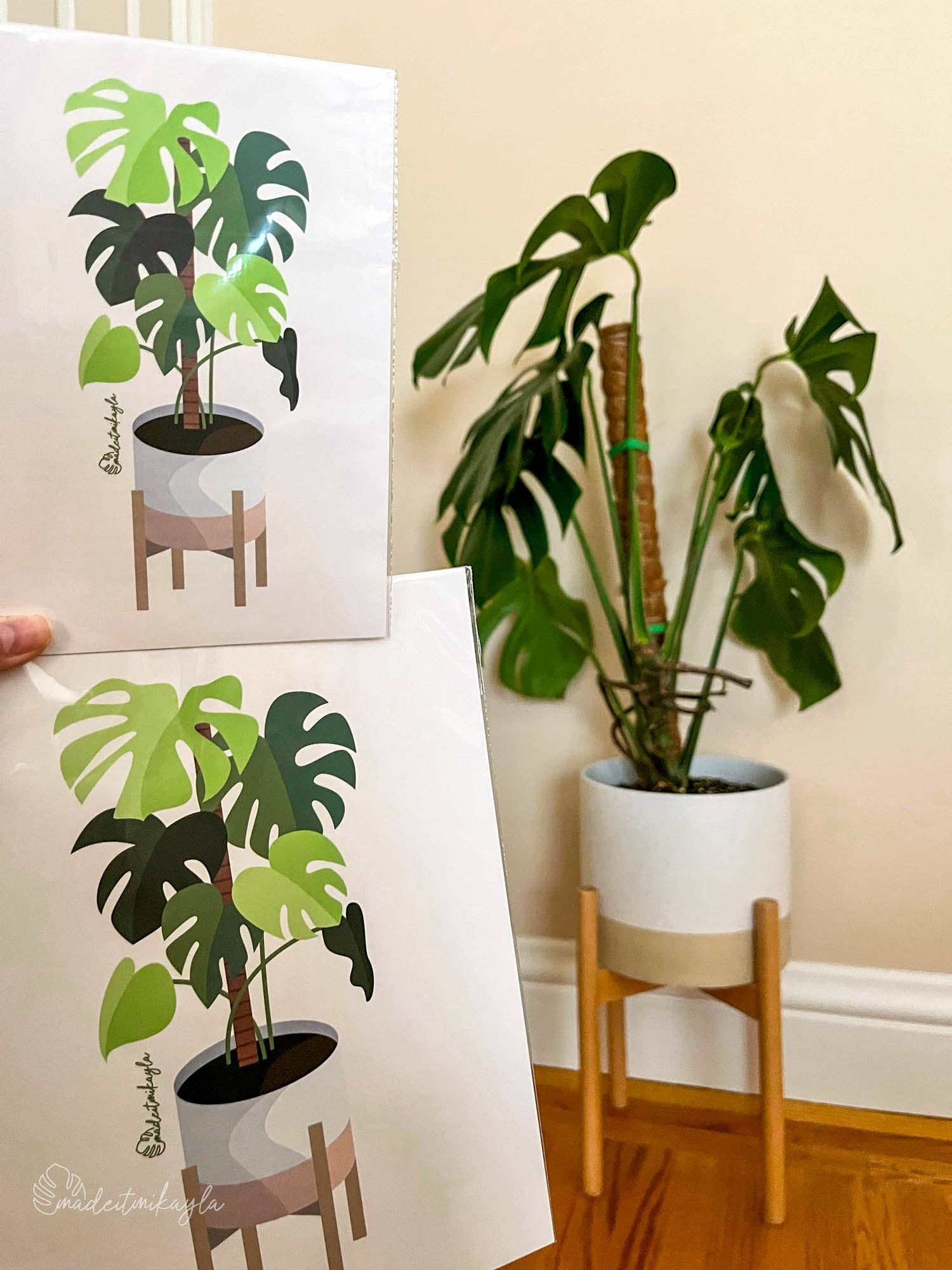 MadeItMikayla - Wholesale Sticker - Monstera Plant Sticker3