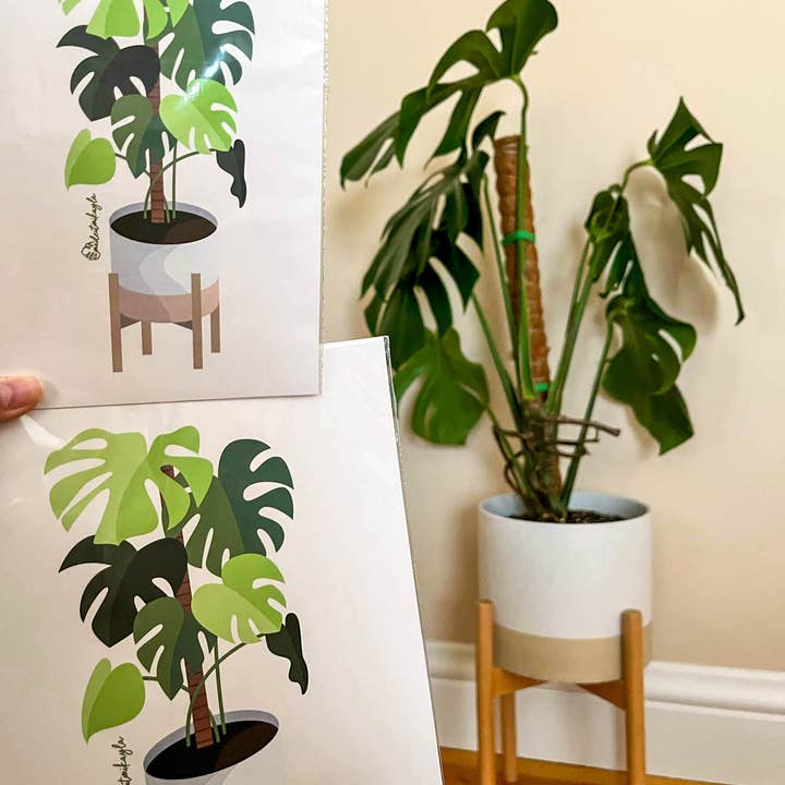 MadeItMikayla - Wholesale Sticker - Monstera Plant Sticker3