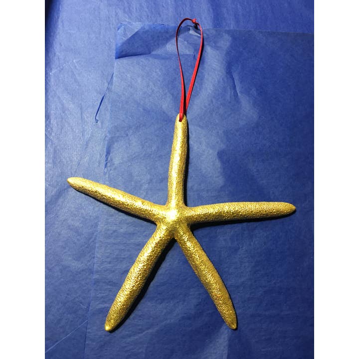 NATURLIG SJÖSTJÄRNA för wholesale av Atelier Avenet