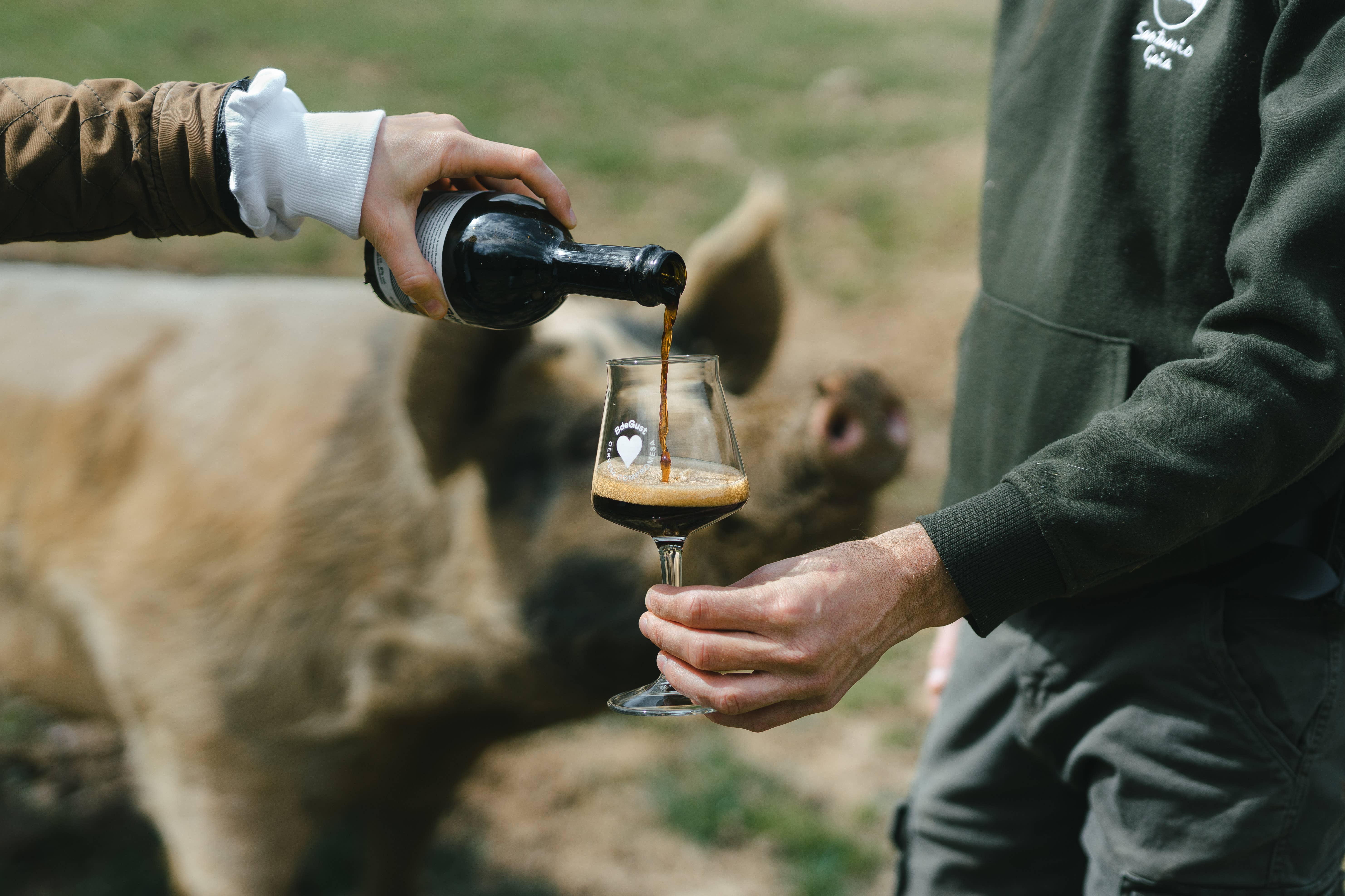 BdeGust - Committed To Kindess Beer - Wholesale Beer - Beer - Pastry Stout - Organic Ingredients 1