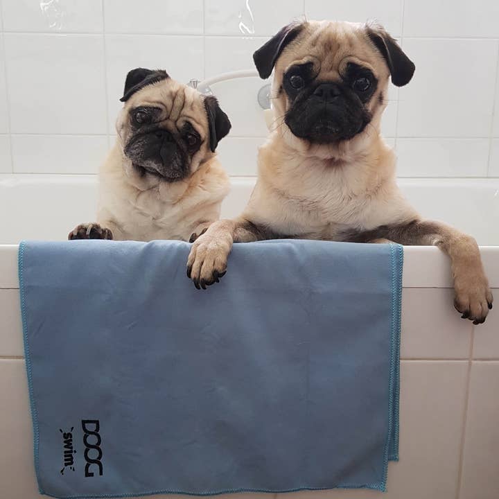 Blue Dog Towel for wholesale on Faire2