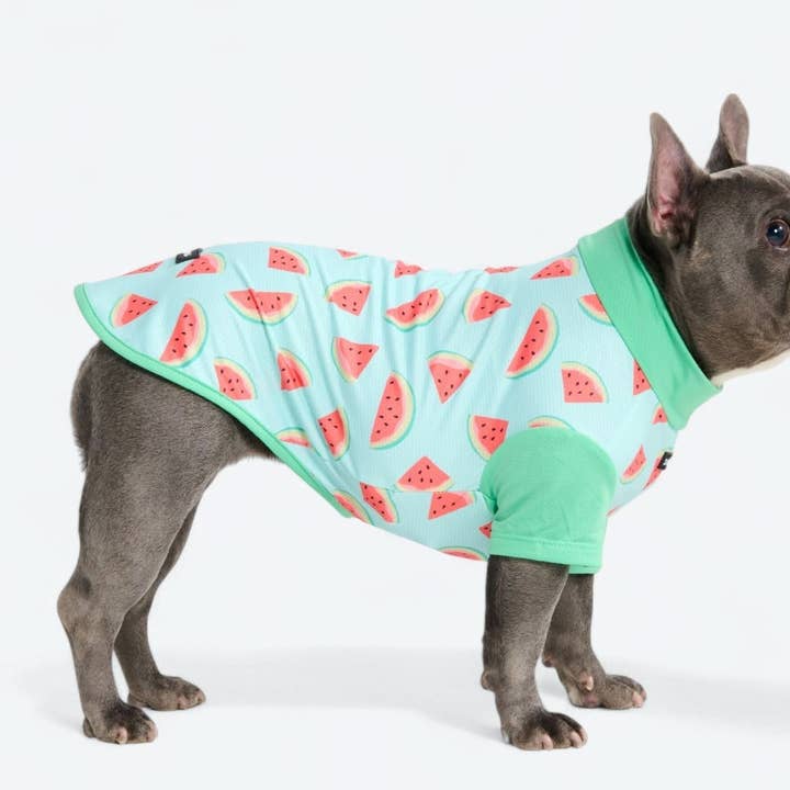 Zonbeschermend Shirt - Watermeloen voor wholesale door Spark Paws