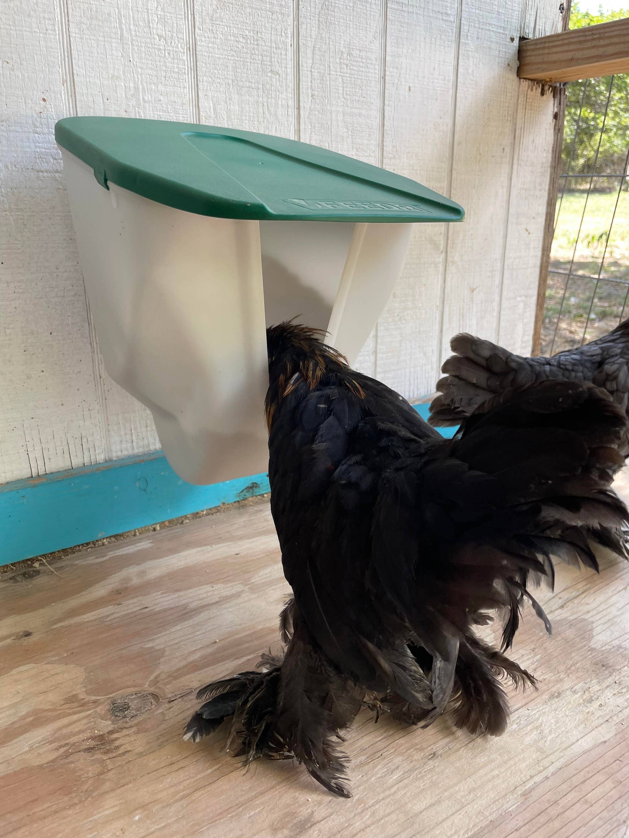 My Favorite Chicken – wholesale Pet bowl – Cat/dog – Chicken VFeedr No Waste Hanging Poultry Feeder 5-lbs4