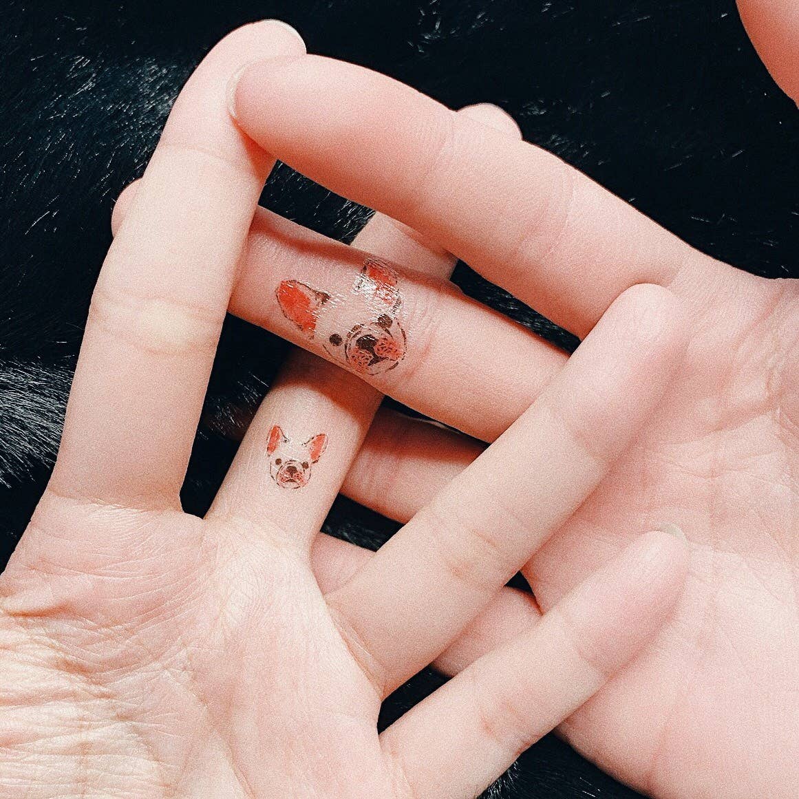 PAPERSELF – Engroshandel Midlertidig tatovering – Zoo Midlertidige Tatoveringer Klistermærker8