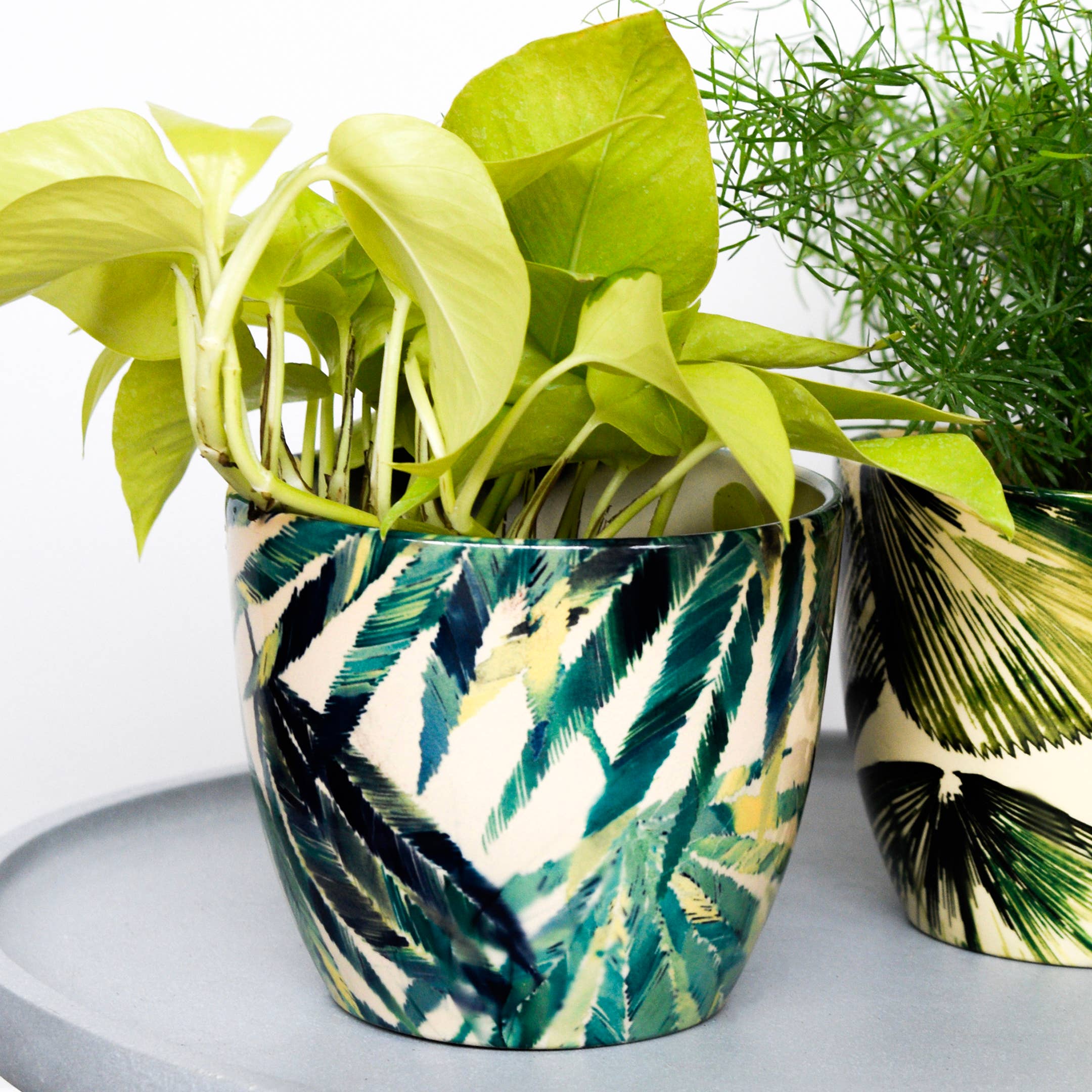 Ivyline - Vendita all'ingrosso Vasi per piante - Vaso per piante da interno in ceramica Monza H16,5 cm x P16,5 cm12