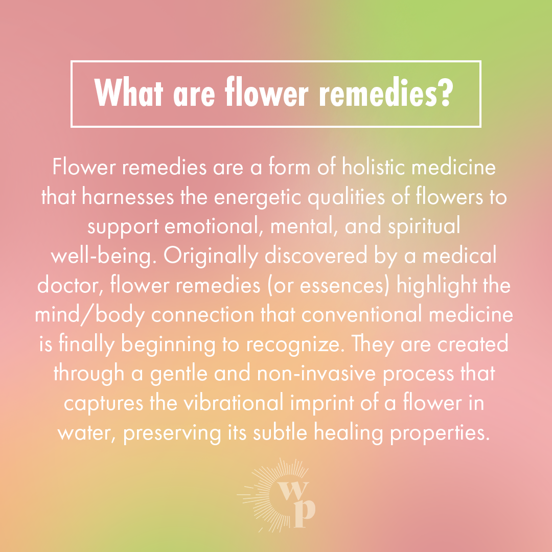 Wild Plenty Flower Remedies - Vente Essence de fleurs - Jupiter™4