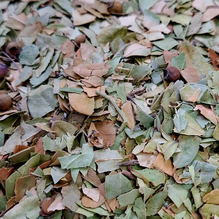 CADUCEUS kruidenapotheek - Wholesale Health/Detox Tea - Myrtle leaf (Myrtus communis) 1kg