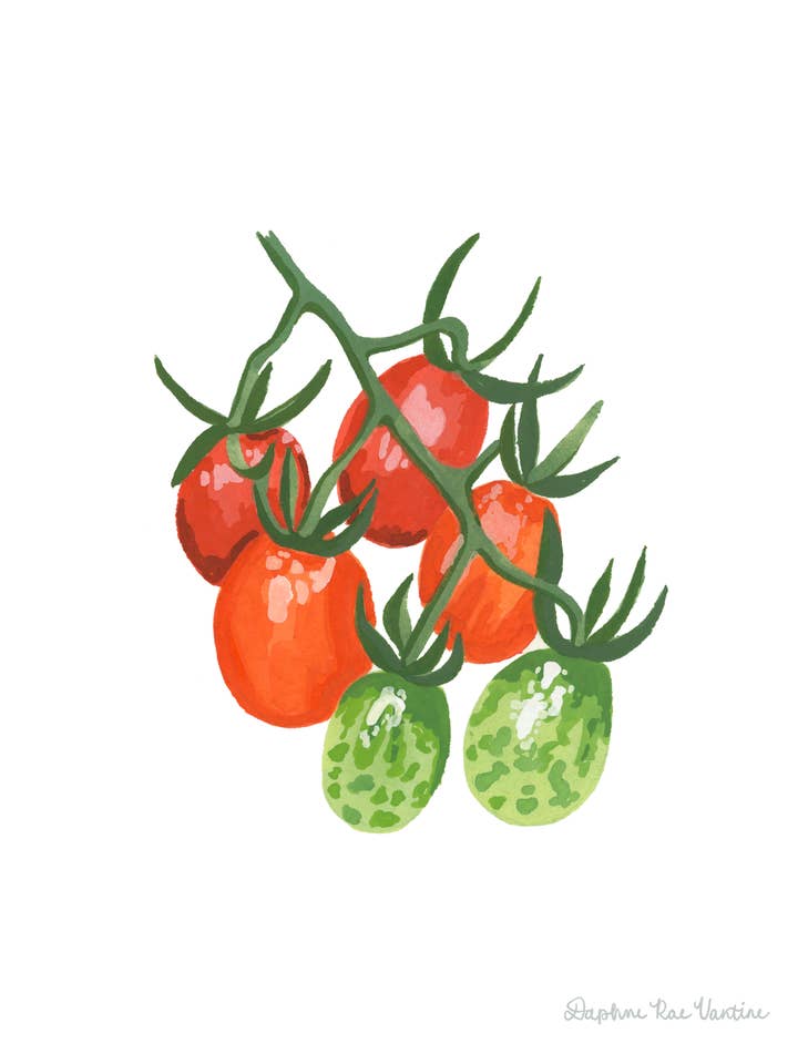 Teardrop Grape Tomatoes Art Print – Garden Wall Decor for wholesale by Daphne Rae Creative