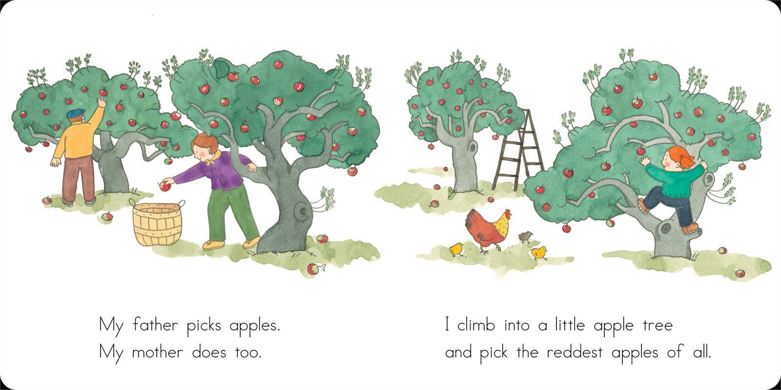 Simon & Schuster - Wholesale Baby & Toddler Book (0-2) - Apples and Pumpkins by Anne Rockwell2