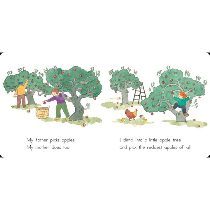 Simon & Schuster - Wholesale Baby & Toddler Book (0-2) - Apples and Pumpkins by Anne Rockwell2