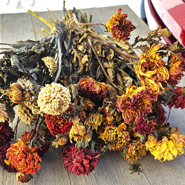 Alissas Flower Farm - Wholesale Dried/Pressed Flowers - Dried Dahlias
