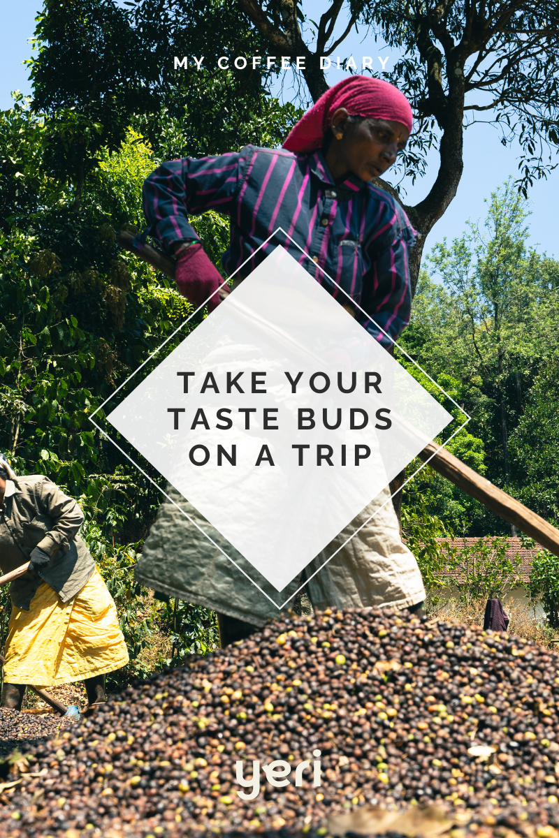 Yeri Coffee - Wholesale Coffee Beans - Chicory Chic: Traditional Indian/NOLA Blend - Bold, Velvety4