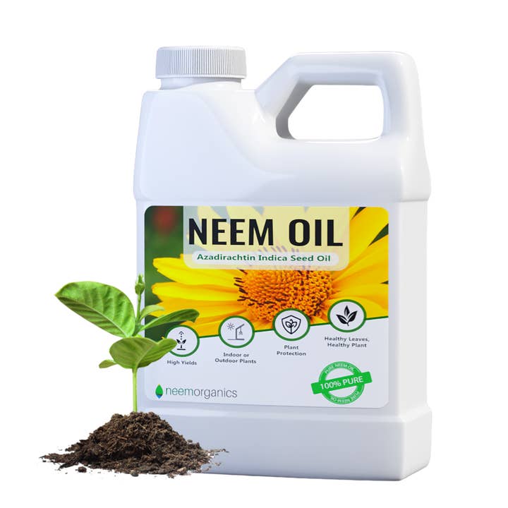 Olio di neem 16 once e ulteriori Risultati per olio di neem all'ingrosso. Resi gratuiti e termini di pagamento a 60 giorni su Faire in tendenza su Faire.