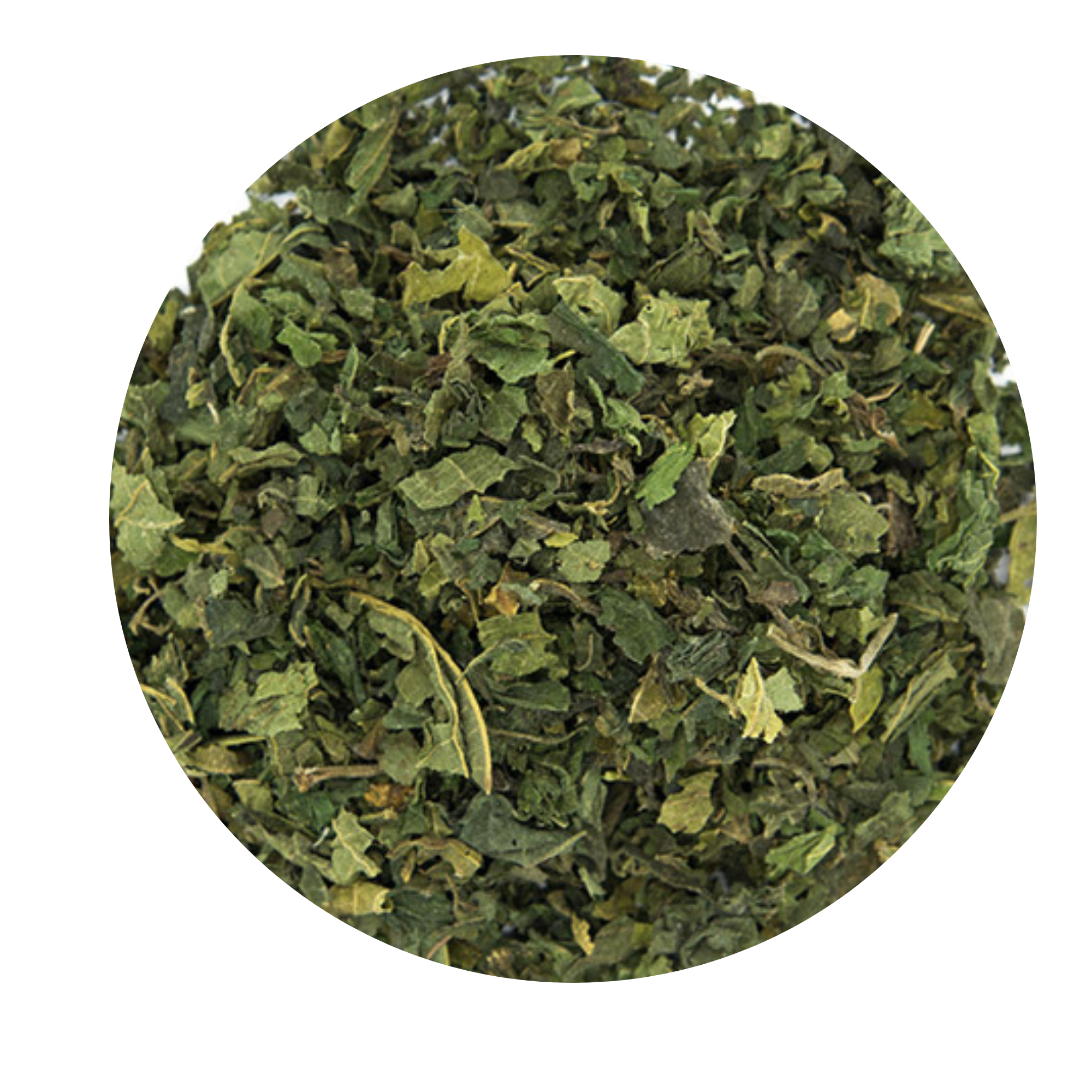 ELITEA - Wholesale Health/Detox Tea - Organic Spicy Nettle Leaf Infusion1