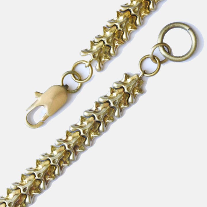 Curated Basics - Wholesale Link & Chain Bracelet - Vertebrate Chain Bracelet