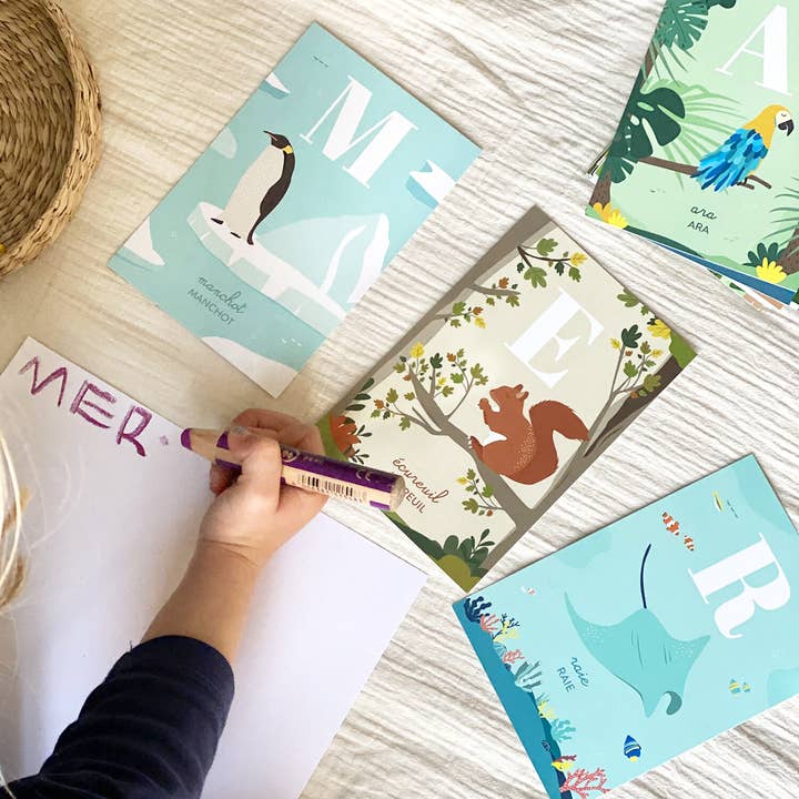 Papier curieux - Wholesale Learning Cards - Kids & Baby - Montessori animal alphabet cards for children