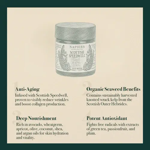 Napiers - Wholesale Facial Serum/Concentrate - Napiers Speedwell Ageless Treatment Serum5