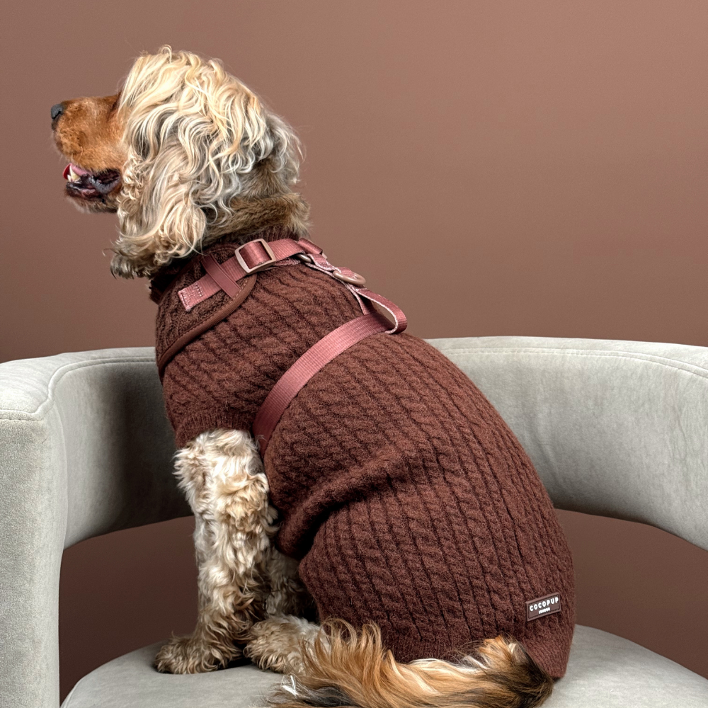Cocopup London – wholesale Pet jumper – Dog – Cable Knit Jumper - Hot Coco5