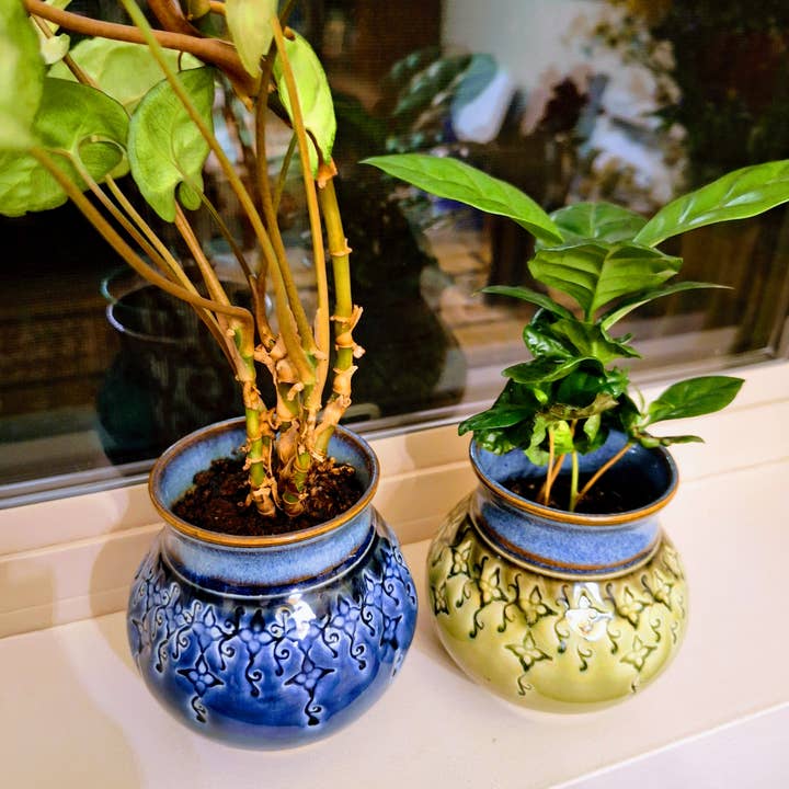 Plays in Mud Pottery - Wholesale Plant Pot - Large Tabletop Planter - Handmade Pottery Planter - MTO3