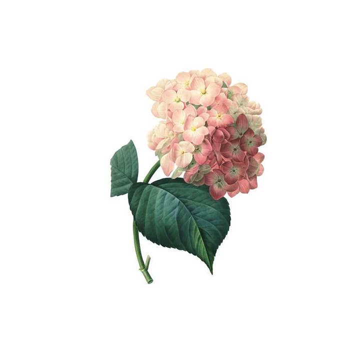 Simon & Schuster - Wholesale Book - Adult - Instant Wall Art Vibrant Botanical Prints by Adams Media