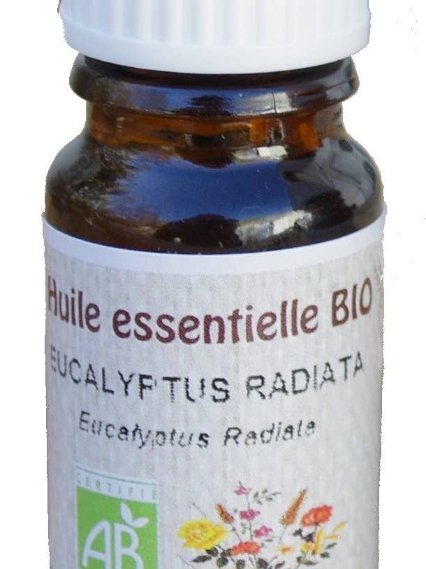 Eucalyptus radiata Æterisk Olie Økologisk 10ml for engroshandel hos Céven'Arômes