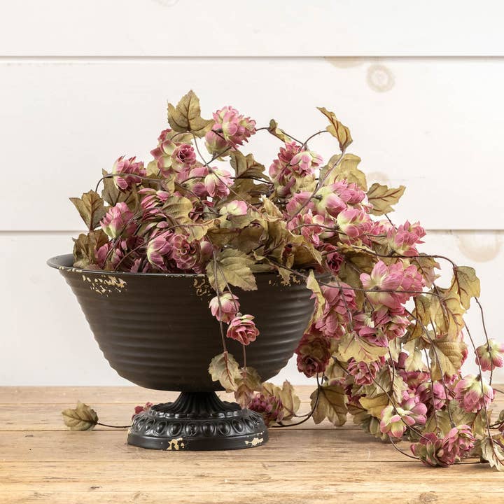 Tige de houblon à pointe violette de 39 pouces pour la vente par Ragon House